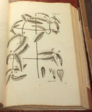Nikolaus Joseph Freiherr von Jacquin (1727-1817), Selectarum stirpium Americanarum historia...