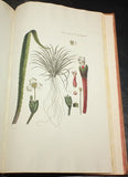 Georg Christian Oeder (1728-1791), Icones Plantarum sponte nascentium in regnis Daniae et Norvegiae...Florae Danicae...