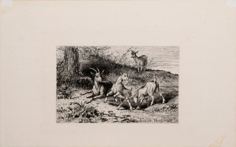Karl Bodmer (1809-1893), Kids (Baby goats)