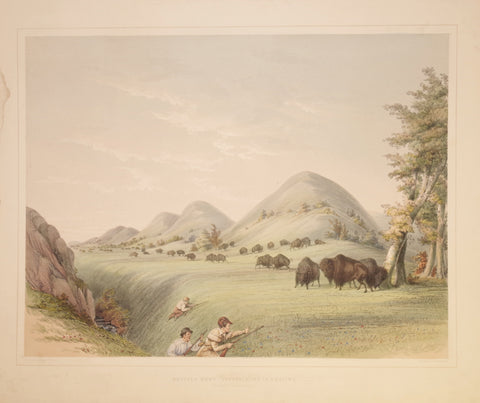 George Catlin (1796-1872), Buffalo Hunt, Approaching in a Ravine