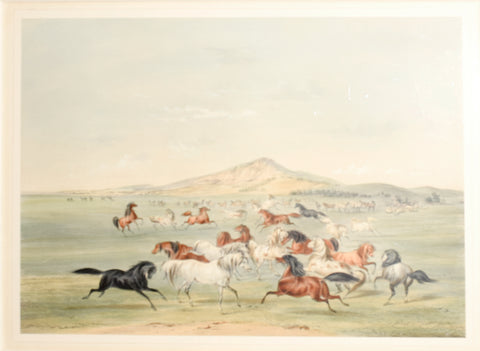George Catlin (1796-1872), Wild Horses at Play