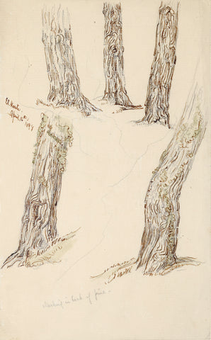 Samuel Colman (1832-1920), Pine Trees, El Monte, California