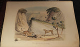 Captain W. Cornwallis Harris (1807-1848), Portraits of the Game and Wild Animals of Southern Africa