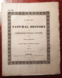 John and Thomas Doughty (1793-1856), The Cabinet of Natural History and American Rural Sports