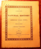 John and Thomas Doughty (1793-1856), The Cabinet of Natural History and American Rural Sports
