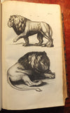 John Jonston (1603-1675), Historiae Naturalis de Quadrupedibus...