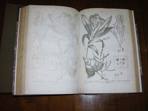 Patrick Browne (ca. 1720-1790), The Civil and Natural History of Jamaica.