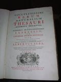 Albertus Seba (1665-1736), Locupletissimi Rerum Naturalium Thesauri Accurata Descriptio et Iconibus Artificiosissimis Expressio, Per Universam Physices Historiam