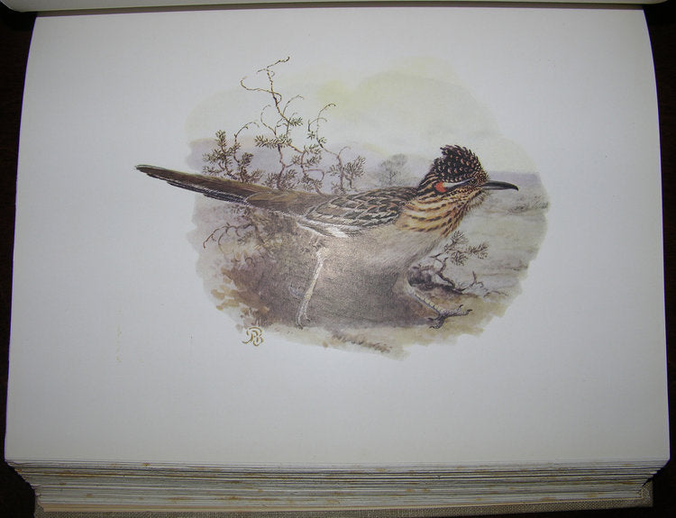 William Leon Dawson (1873-1928), The Birds of California. – Arader ...