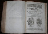 John Parkinson (1576-1650), Theatrum Botanicum, The Theater of Plants