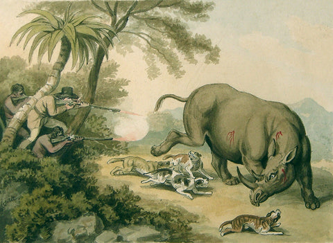 Samuel Howitt (British, 1765-1822), Hunted Rhinoceros