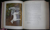 Vero Kemball Shaw, The Illustrated Book of the Dog