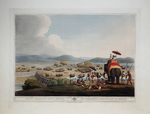 Thomas Williamson (1758-1817) and Samuel Howitt (1765-1822), Driving Elephants into a Keddah