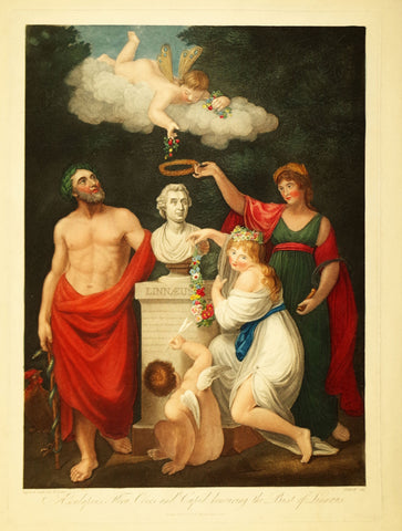 Robert John Thornton (1768-1837), Esculapius, Flora, Ceres and Cupid honoring the bust of Linnaeus