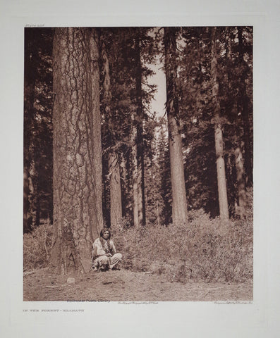 Edward S. Curtis (1868-1953), In the Forest – Klamath Pl 448