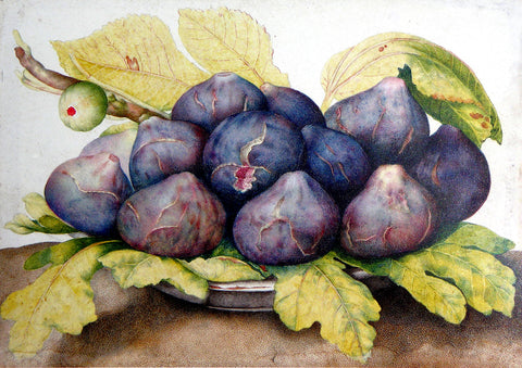 Giovanna Garzoni (Italian, 1600-1670), A Plate of Figs
