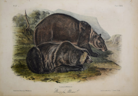 John James Audubon (1785-1851) & John Woodhouse Audubon (1812-1862), Grizzly Bear Pl. CXXXI