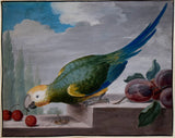 J. F. Hefele (German, D. 1710), Parrot and Fruit