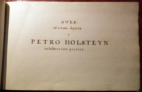 Arader – Younger advivum Pieter (Dutch, Aves The Galleries aquatiles 1614-1687), Holsteyn