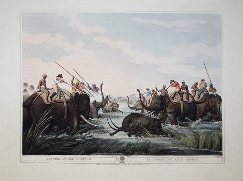 Thomas Williamson (1758-1817) and Samuel Howitt (1765-1822), Hunting an Old Buffalo