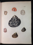 Georg Wolfgang Knorr (1705 -1761) - Philip Ludwig Statius Muller (1725-1776), Deliciae Naturae Selectae of Uitgeleezen Kabinet van Natuurlyke Zeldzaamheden ...