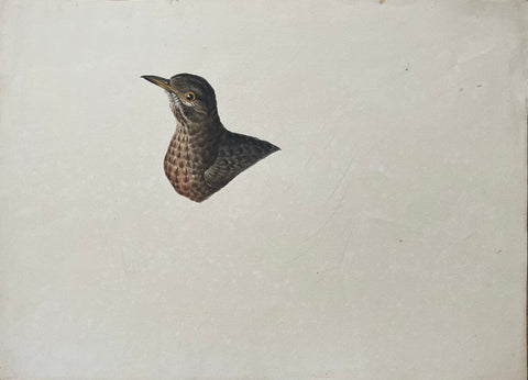 William Pope (British/Canadian, 1811-1902), Untitled [Unfinished composition, bird head]