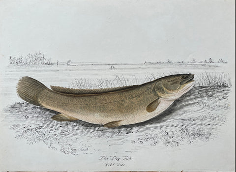 William Pope (British/Canadian, 1811-1902), The Dog Fish Reduced size