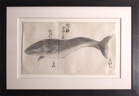 Japanese Whale Watercolor, Ko-kujira / Gray Whale