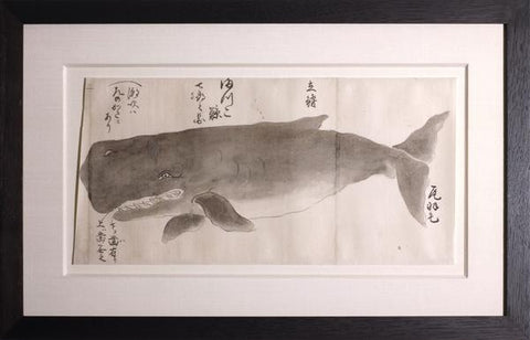 Japanese Whale Watercolor, Makkou-kujira / Sperm Whale