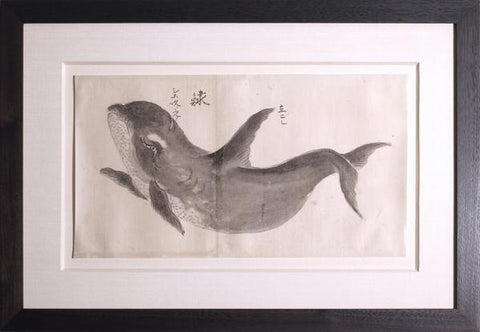Japanese Whale Watercolor, Shachi / Killer Whale