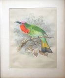 Johannes Geradus Keulemans (1842-1912) and Henry Eeles Dresser (1838-1915), A Monograph of the Meropidae, or Family of the Bee-Eaters