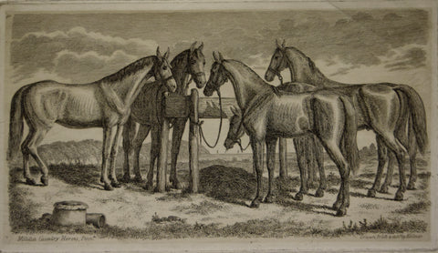 August Kollner (American, active 1838–72), Militia Calavry Horses, Penn.