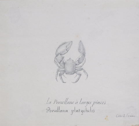 Christophe Paulin de la Poix de Freminville (1747-1848), La Porcellane a larges pinces