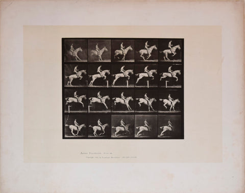 Eadweard Muybridge (English, 1830-1904), Animal Locomotion - Plate - 642