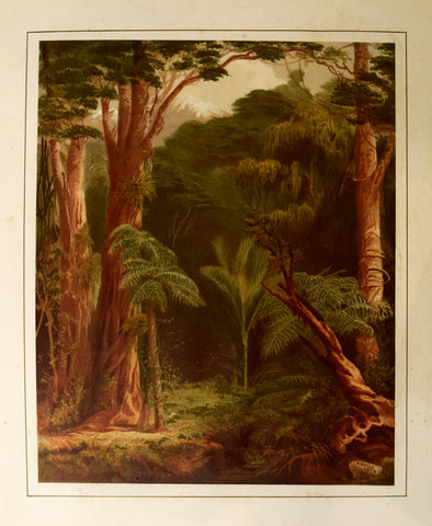 John Gully (1819-1888), New Zealand Forest Vegetation