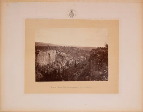 Timothy O’Sullivan (1840-1882), North Folk Canon, Sierra Blanca Creek, Arizona