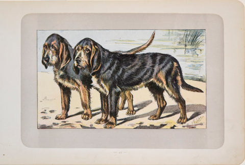 P. Mahler & J.B. Samat, Otterhound