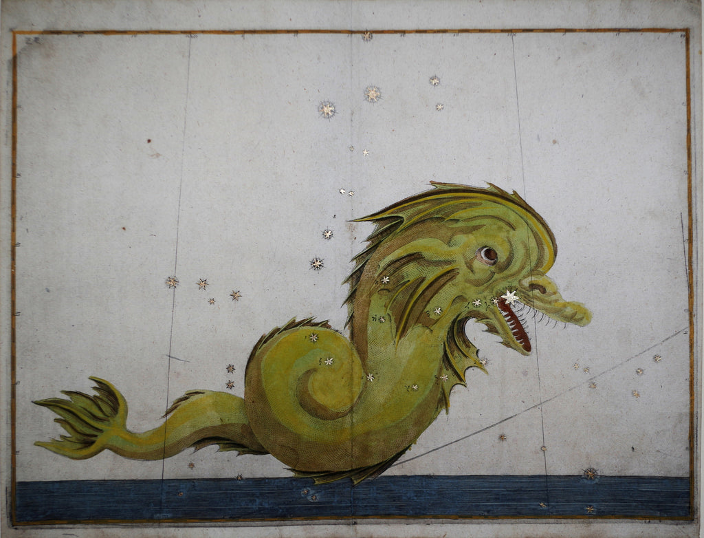 Johann Bayer (1572-1625), Piscis Notius – Arader Galleries