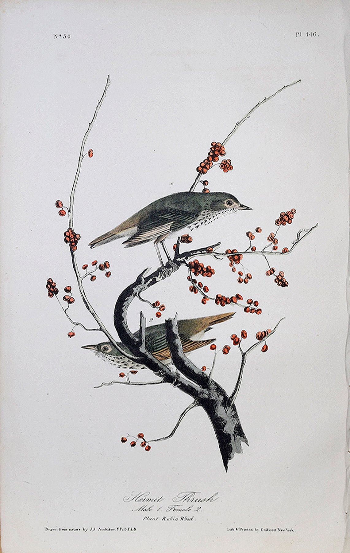 bird whiteページ White Mountain Puzzle State Birds & Flowers 1000pc NIB