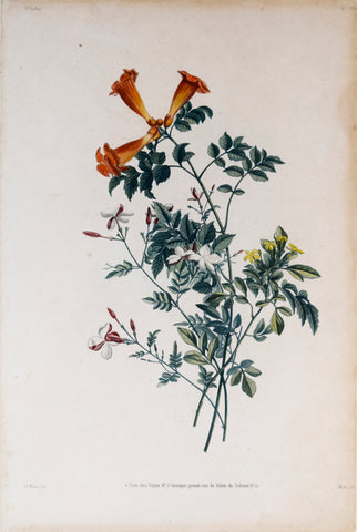 Jean Louis Prevost (1760-1810), Plate 32