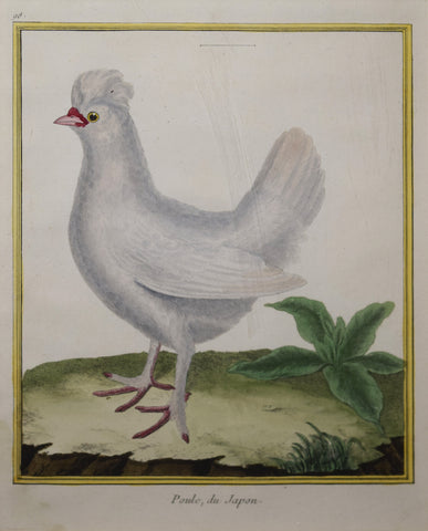 Francois Nicolas Martinet ( b. 1731), Poule du Japon Pl 98