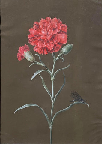 Barbara Regina Dietzsch (German, 1706-1783), Red Carnation with a Dragonfly