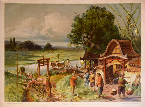 F.E. Wachsmuth, Reis Oryza Sativa [Scene Showing Rice Farming]