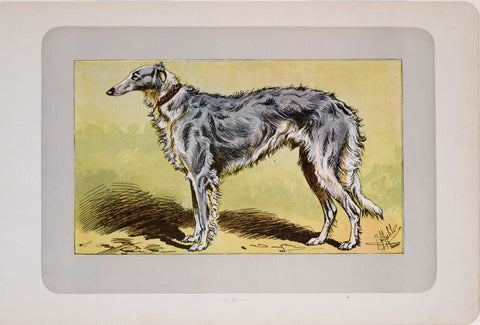 P. Mahler & J.B. Samat, Russian Greyhound