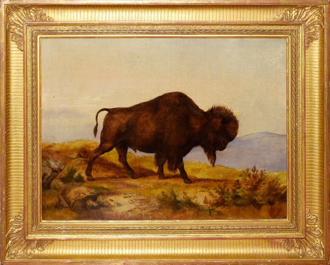Alfred Sully (1820-1879) Bison Bull