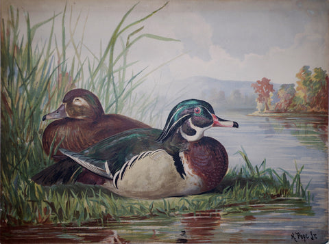 Alexander Pope, Jr. (1849-1924), Two Ducks on Land Plate 12