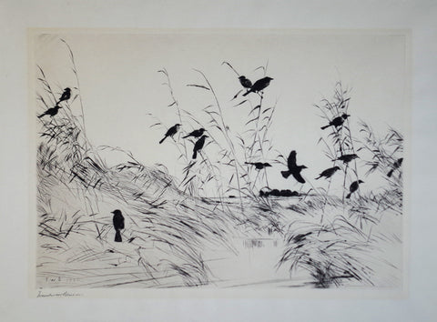 Frank Benson (1862-1951), Untitled (Several Birds)