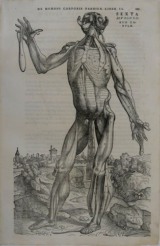 Andreas Vesalius (Flemish, 1514-1564), 187
