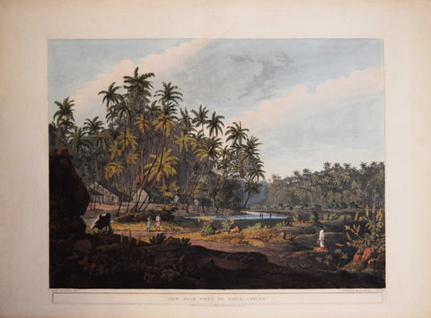 Henry Salt (1780-1827), View Near Point de Galle, Ceylon