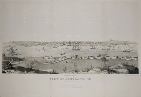 Edwin Whitefield (1816-1892), View of Portland, ME., from Cape Elizabeth side